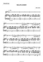 Sheet music, chords Billie Eilish - WILDFLOWER