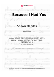 undefined Shawn Mendes - Because I Had You