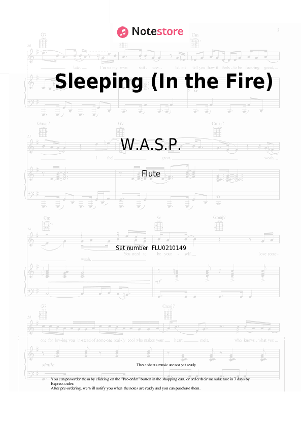 Sleeping (In the Fire) - W.A.S.P. Flute Sheet Music - Flute
