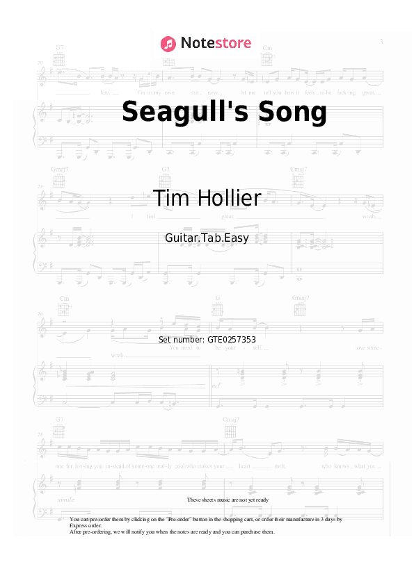 Seagull's Song - Tim Hollier Tabs Easy - Guitar.Tab.Easy