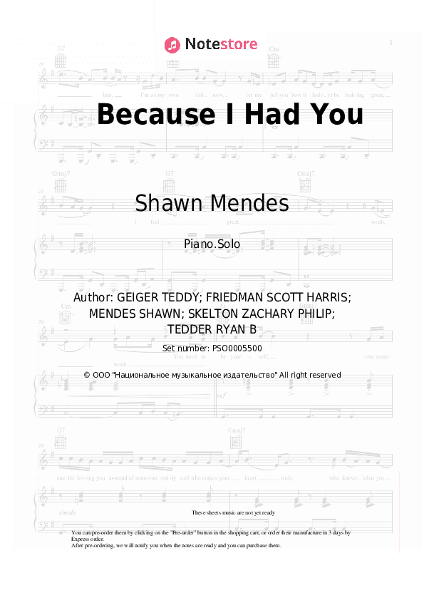 Because I Had You - Shawn Mendes Piano Sheet Music - Piano.Solo